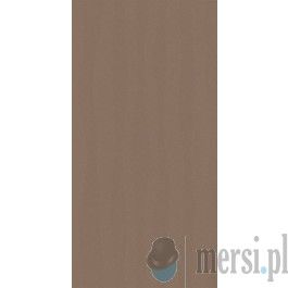 Paradyż CALM Taupe Dekor Połysk  29,8x59,8