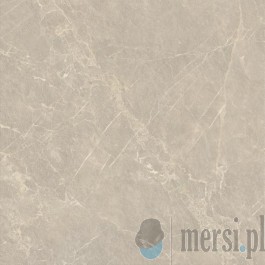 Paradyż ELORIA TAUPE STRUKTURA MAT 119,8X119,8 GAT.1 