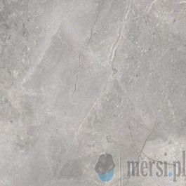 Cerrad Masterstone silver 120x120