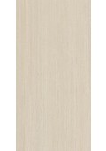 Paradyż VELMERO GREIGE MAT 59,8X119,8 GAT.1 