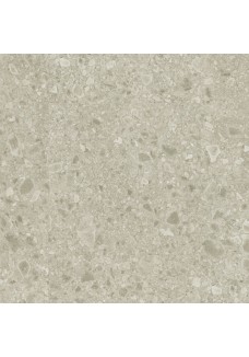 Panele Winylowe Quick-Step BLUSH Ceppo ciepłoszary SGTC20306