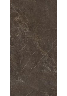 Paradyż ELORIA BROWN STRUKTURA MAT 59,8X119,8 GAT.1 