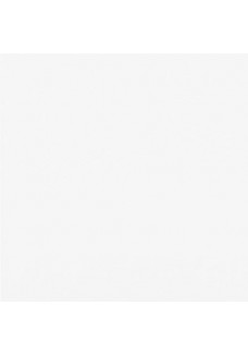 PRISSMACER ICE WHITE MAT 60X60
