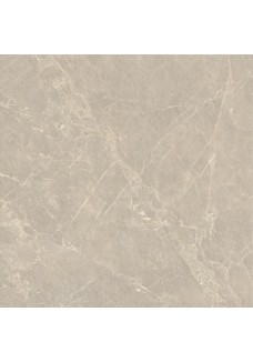 Paradyż ELORIA TAUPE STRUKTURA MAT 119,8X119,8 GAT.1 