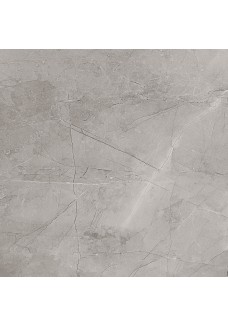 Domino REMOS Grey LAP 59,8x59,8 Gat.1 