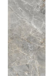 A&G Home SOFIJA Silver SILKY CRISTAL 59,7x119,7 gat.I