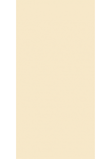 Paradyż Neve Vanilla Połysk 30x60