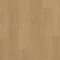 Panele Winylowe Quick-Step BLOS Dąb piernikowy AVSPU40278