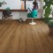 Panele Winylowe Quick-Step BLOOM Dąb karmelowy botaniczny AVMPU40315