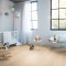 Panele Winylowe Quick-Step BLOOM Dąb rumiany AVMPU40097