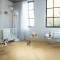 Panele Winylowe Quick-Step PRISTINE Dąb stonowany średni naturalny SGHBC20332