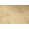Panele Winylowe Quick-Step DĄB DRYFUJĄCY BEŻOWY BALANCE CLICK