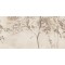 Tubądzin TROPICAL FOREST RIGHT D DEKOR 119,8x59,8 GAT.1